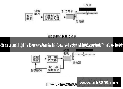 体育无氧计划与节奏驱动训练核心模型行为机制的深度解析与应用探讨